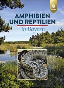 Amphibien und Reptilien in Bayern (Eberhard Andrä, Otto Aßmann, Thomas Dürst, Günter Hansbauer)