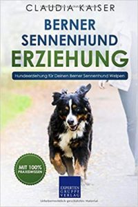 Berner Sennenhund Erziehung (Claudia Kaiser)