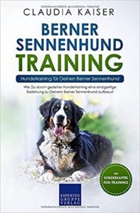 Berner Sennenhund Training (Claudia Kaiser)