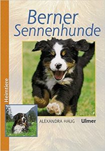 Berner Sennenhunde (Alexandra Haug)