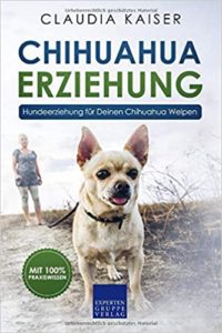 Chihuahua Erziehung (Claudia Kaiser)