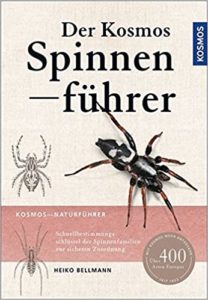 Der Kosmos Spinnenführer (Heiko Bellmann)