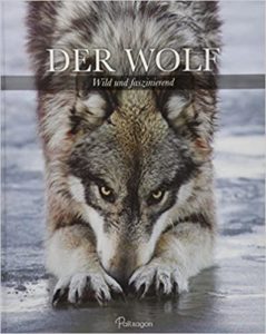 Der Wolf: Wild und faszinierend (Shaun Ellis, Monty Sloan)