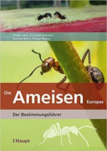 Die Ameisen Europas: Der Bestimmungsführer (Claude Lebas)