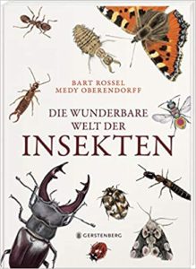 Die wunderbare Welt der Insekten (Bart Rossel, Medy Oberendorff)