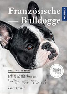 Französische Bulldogge (Anne Posthoff)