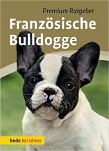 Französische Bulldogge (Annette Schmitt)