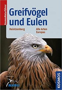 Greifvögel und Eulen (Felix Heintzenberg)