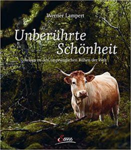 Unberührte Schönheit: Reisen zu den ursprünglichsten Kühen der Welt (Werner Lampert)