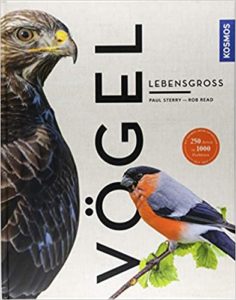 Vögel lebensgroß (Paul Sterry, Rob Read)