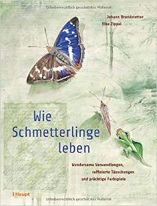 Wie Schmetterlinge leben (Johann Brandstetter, Elke Zippel)